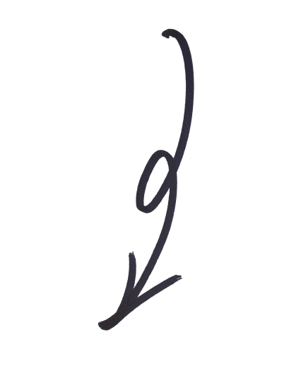 seta decorativa